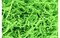 Essentials by Leisure Arts Crinkle Shred Bag, Lime, 2oz Shredded Paper Filler, Crinkle Cut Paper Shred Filler, Box Filler, Shredded Paper for Gift Box, Paper Crinkle Filler, Box Filling